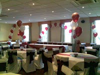 Sentiments, Chair Covers, Balloons, Cards and Gifts 1083168 Image 3
